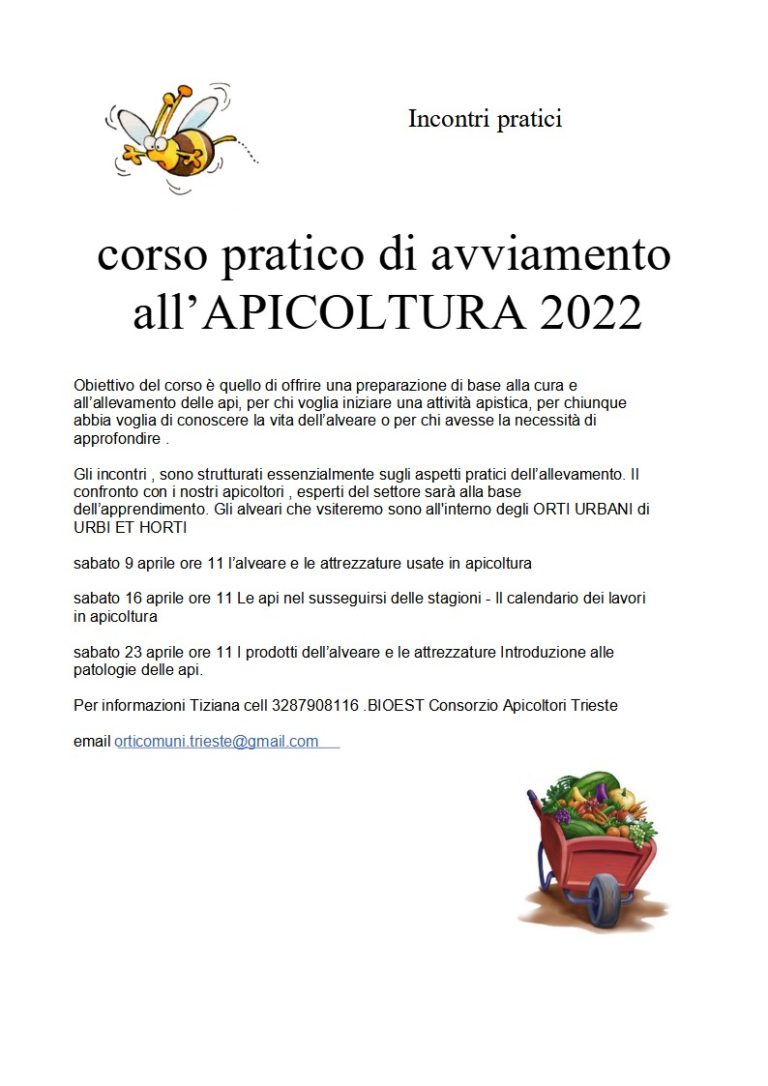 SMALL - Calendario 2024 con Filosofie di vita - RICAMBIO - Il portafoglio  di carta